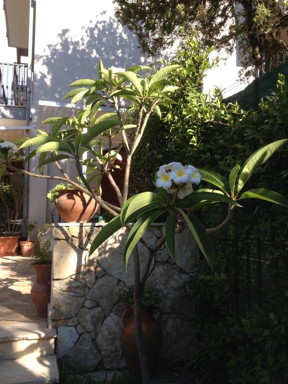 Il Giardino Dei Limoni Bed and Breakfast Aci Castello Exteriör bild
